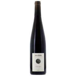 Pinot Noir Alsace Bio - Terres d'étoiles - 2022